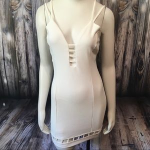 Fashion Nova Bodycon Mini Dress